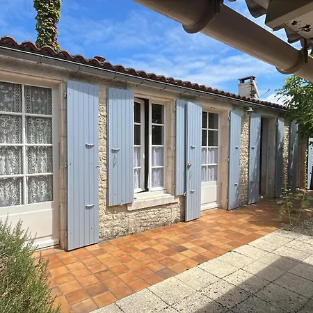 Lisière De Forêt De Domino Saint-Georges-d'Oleron
